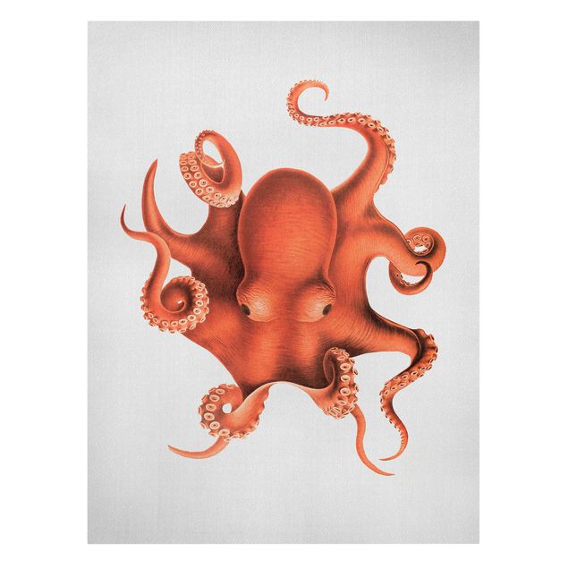 Canvas print - Vintage Illustration Red Octopus - Portrait format 3:4