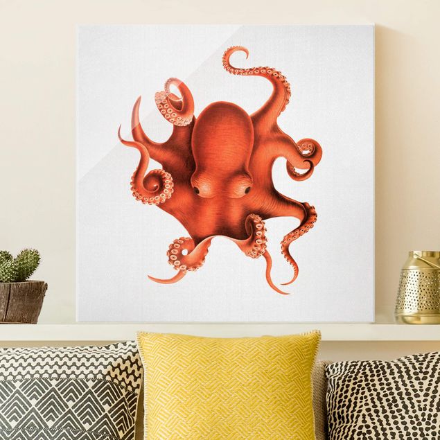 Glas Magnettafel Vintage Illustration Red Octopus