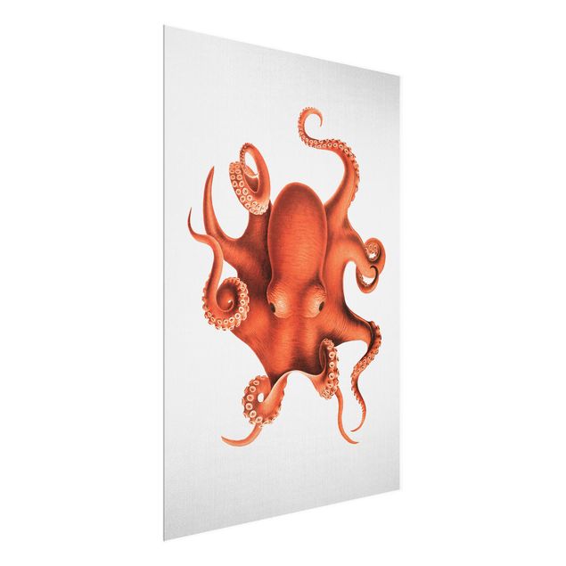 Glass print - Vintage Illustration Red Octopus