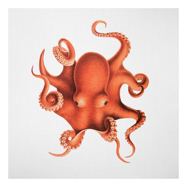 Glass print - Vintage Illustration Red Octopus