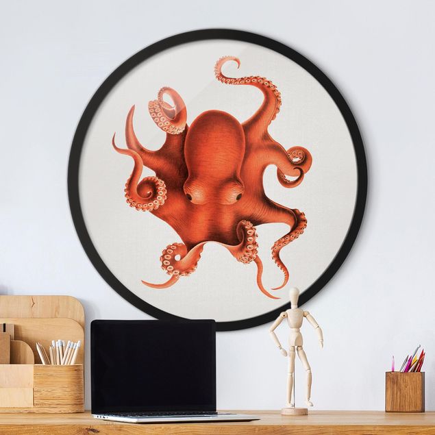 Framed prints round Vintage Illustration Red Octopus