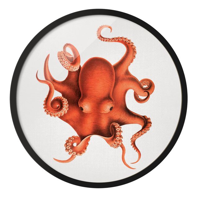 Circular framed print - Vintage Illustration Red Octopus