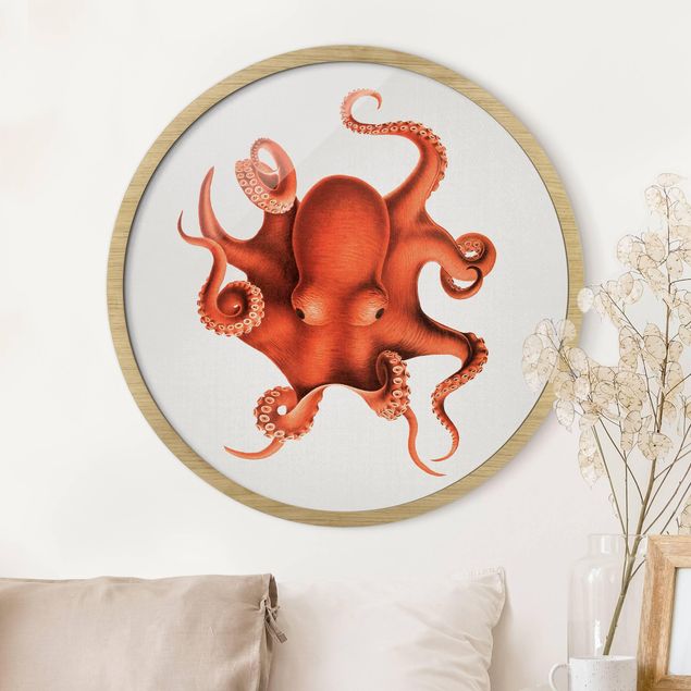 Framed prints round Vintage Illustration Red Octopus