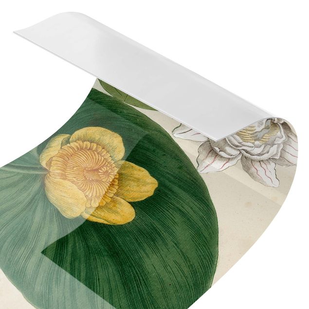 Kitchen wall cladding - Vintage Board White Water-Lily