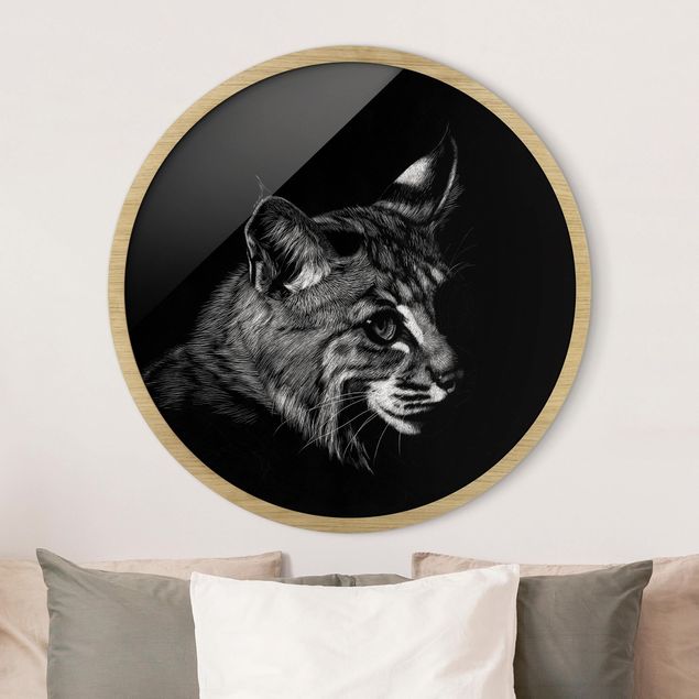 Framed prints round Vintage Cat on Black Backdrop