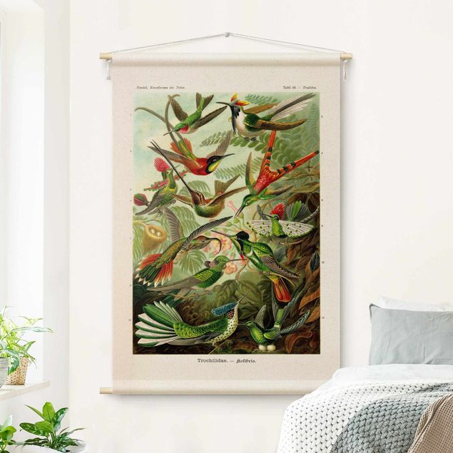 modern wall tapestry Vintage Teaching Illustration Hummingbirds