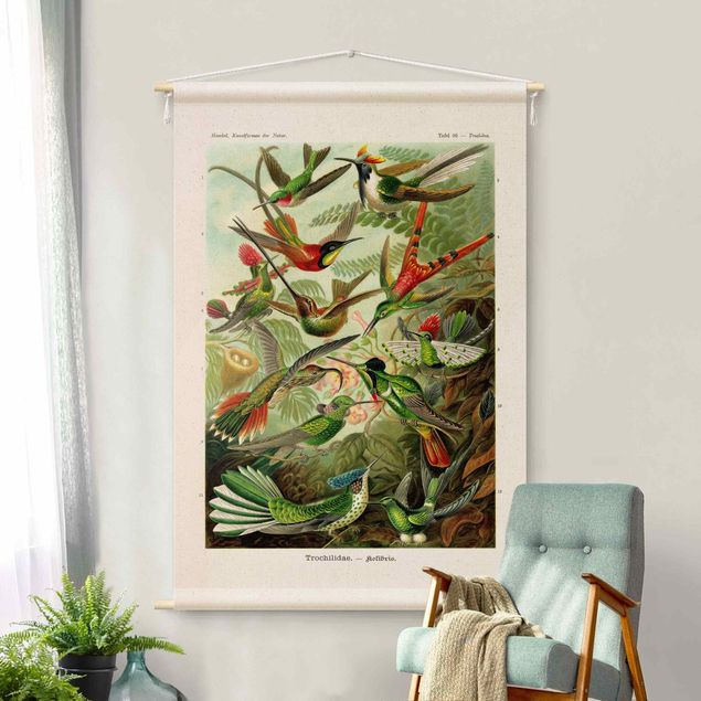 extra large tapestry wall hangings Vintage Teaching Illustration Hummingbirds