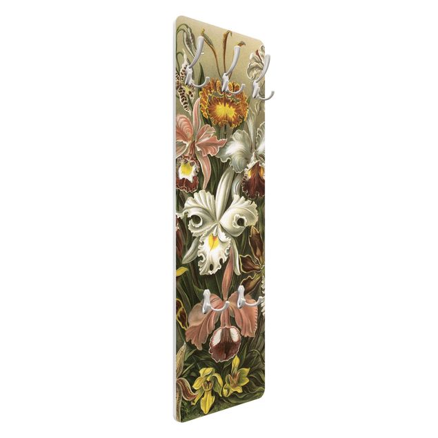 Coat rack - Vintage Board Orchid