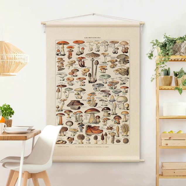 modern tapestry Vintage Teaching Illustration Mushrooms