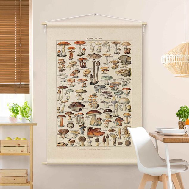 extra large tapestry Vintage Teaching Illustration Mushrooms