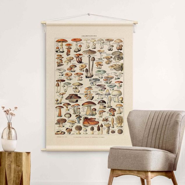wall hangings Vintage Teaching Illustration Mushrooms