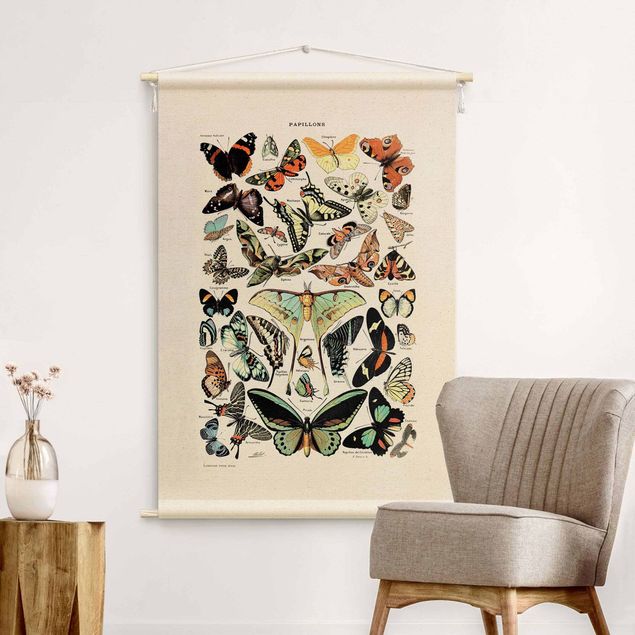 wall hangings Vintage Teaching Illustration Butterflies