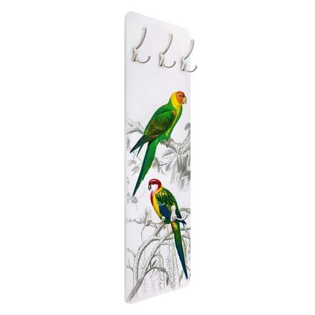 Coat rack - Vintage Wall Chart Two Parrots Green Red