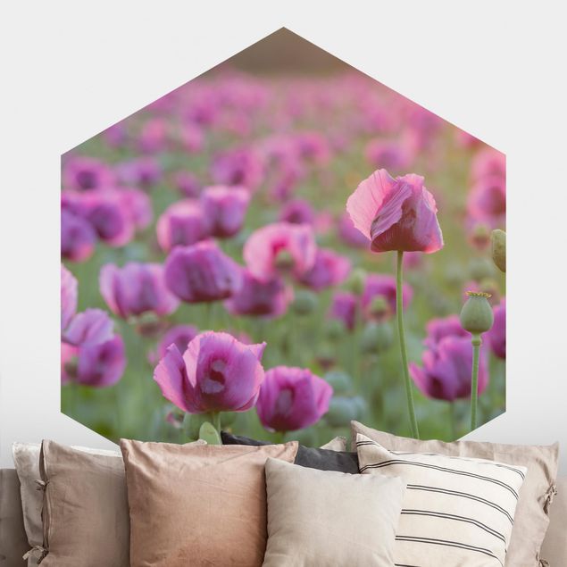 Hexagonal wall mural Purple Poppy Flower Meadow In Spring