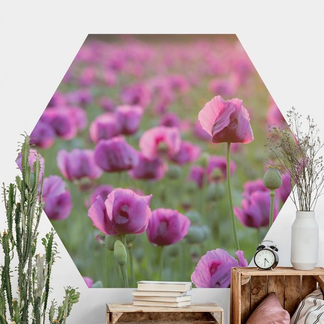 Self-adhesive hexagonal pattern wallpaper - Purple Poppy Flower Meadow In Spring