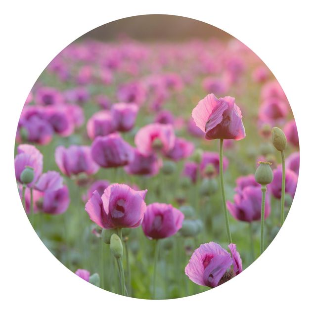 Self-adhesive round wallpaper - Purple Poppy Flower Meadow In Spring