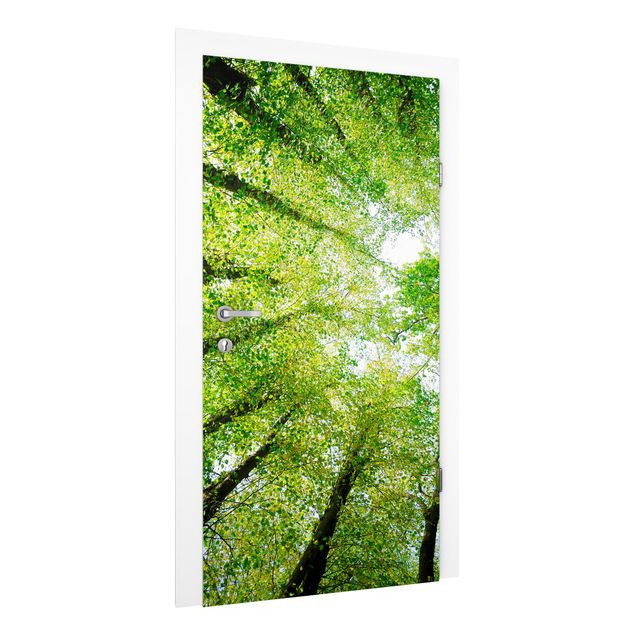 Door wallpaper - Trees Of Life