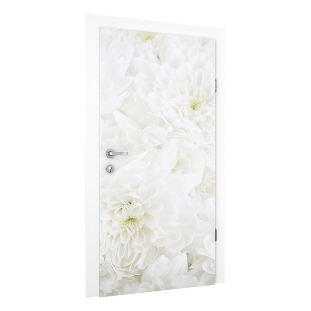 Wallpapers Dahlias Sea Of Flowers White