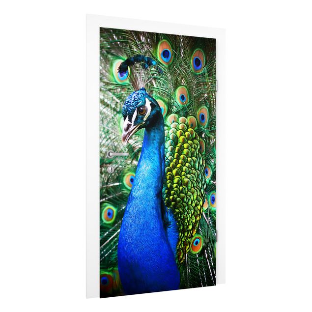 Door wallpaper - Noble Peacock