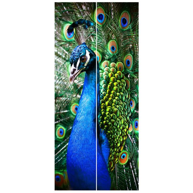 Door wallpaper - Noble Peacock
