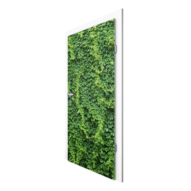 Door wallpaper - Ivy