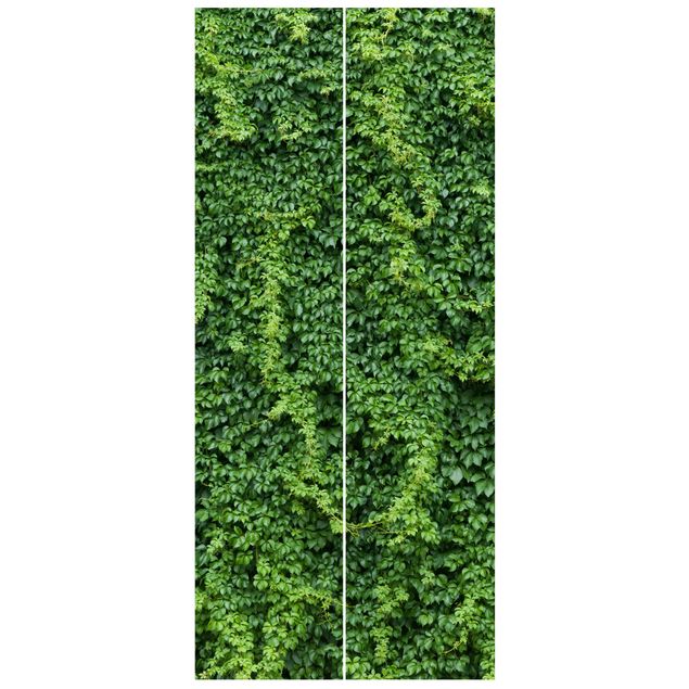 Door wallpaper - Ivy
