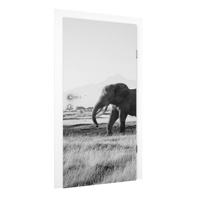 Door wallpaper - Elephants In Front Of The Kilimanjaro In Kenya II