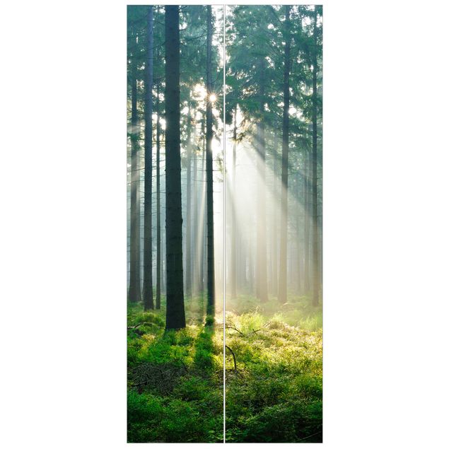 Door wallpaper - Enlightened Forest