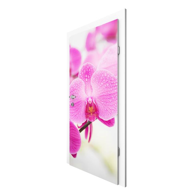 Door wallpaper - Close-Up Orchid