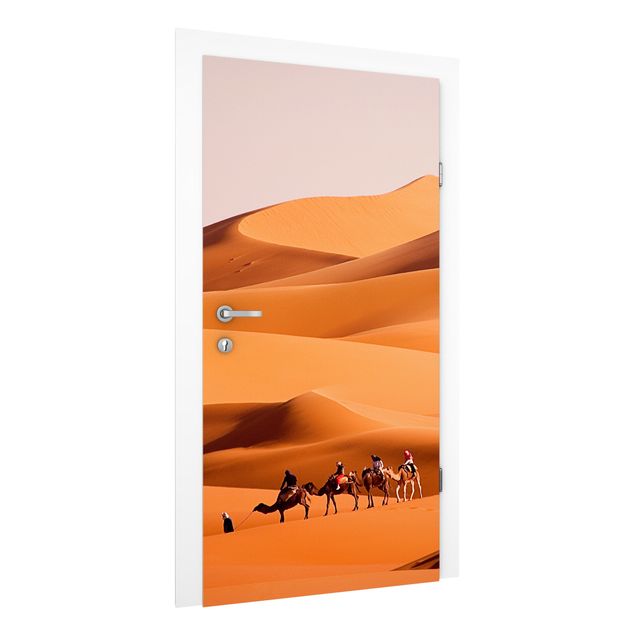 Door wallpaper - Namib Desert