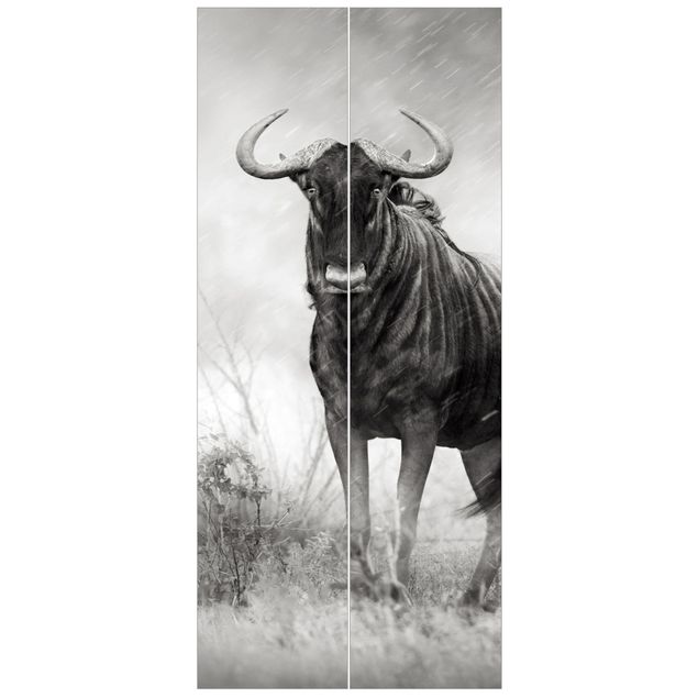 Door wallpaper - Staring Wildebeest