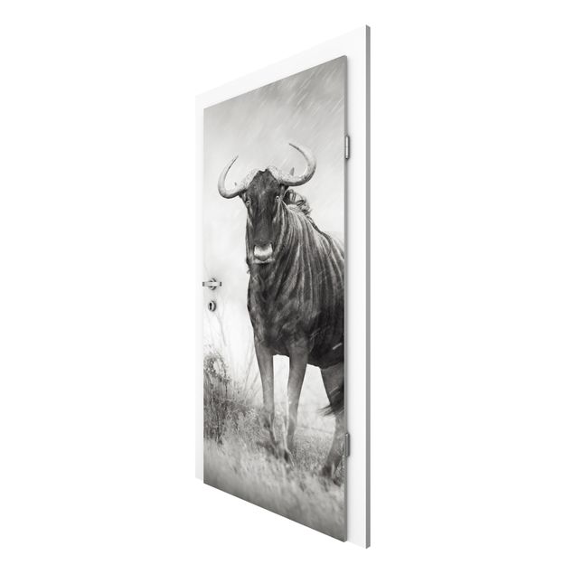 Door wallpaper - Staring Wildebeest