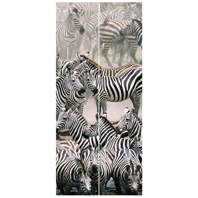 Door wallpaper - Zebra Herd