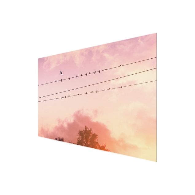 Glass print - Birds On Powerlines - Landscape format 3:2