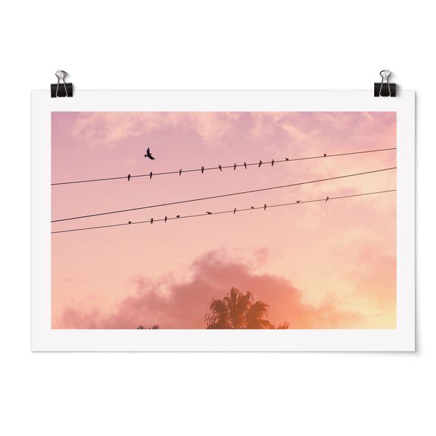Poster art print - Birds On Powerlines - 3:2