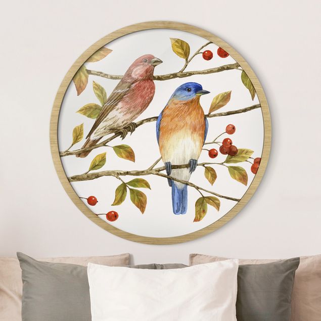 Framed prints round Birds And Berries - Bluebird
