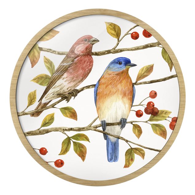 Circular framed print - Birds And Berries - Bluebird
