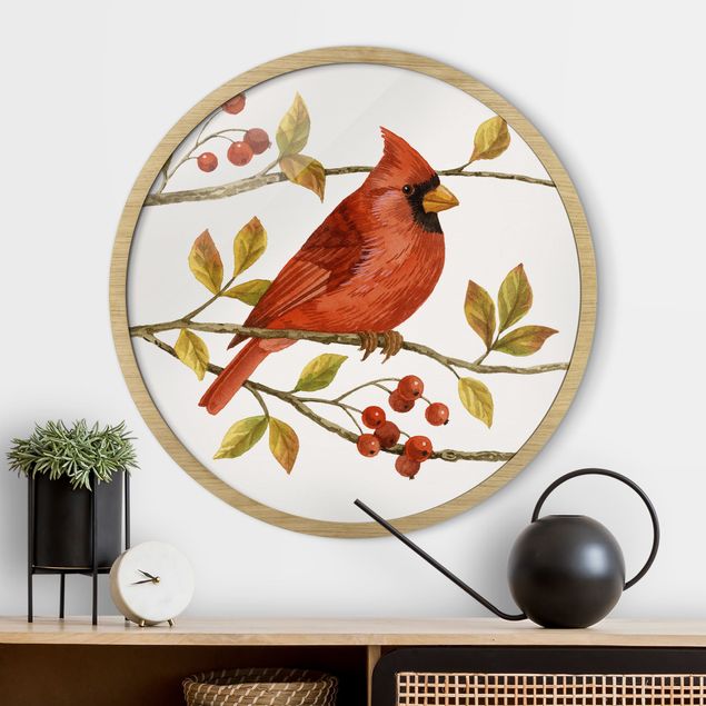 Framed prints round Birds And Berries - Northern Cardinal