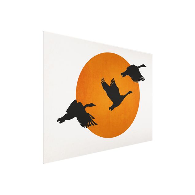 Glass print - Birds In Front Of Red Sun