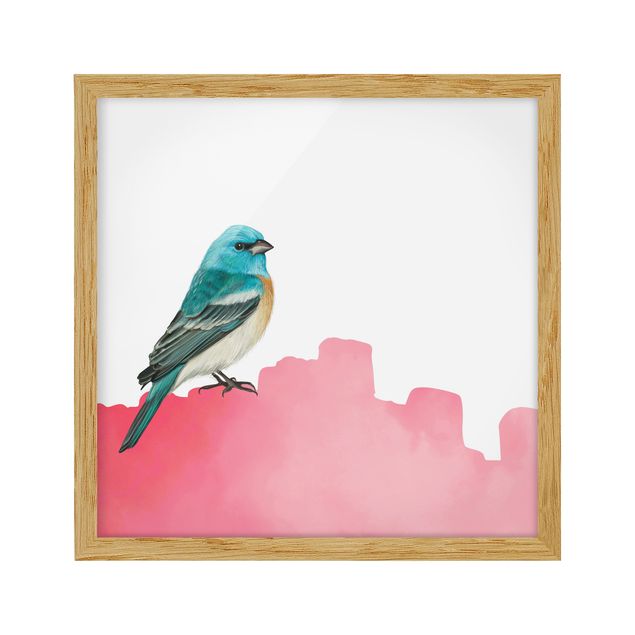 Framed poster - Bird On Pink Backdrop