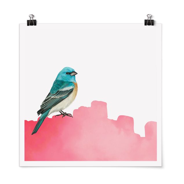 Poster - Bird On Pink Backdrop