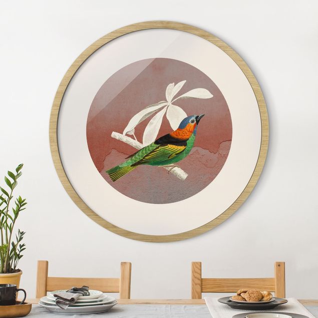 Framed prints round Bird Collage In A Circle ll