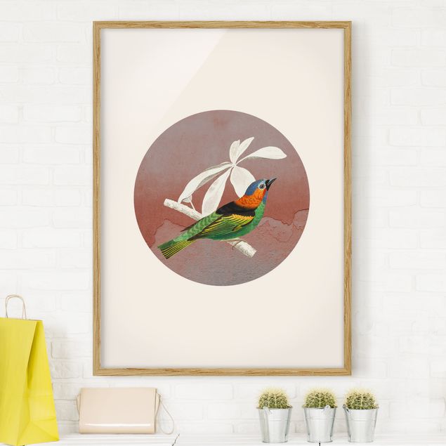 Framed poster - Bird Collage In A Circle ll