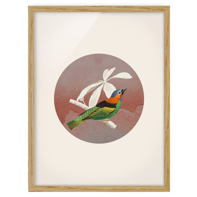 Framed poster - Bird Collage In A Circle ll