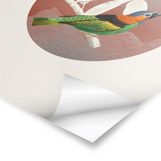 Poster - Bird Collage In A Circle ll