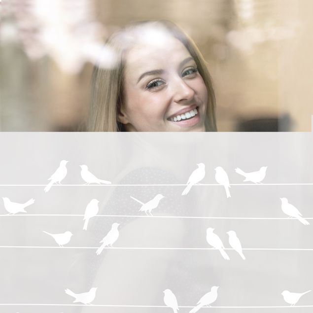 Window film - Flock Of Birds