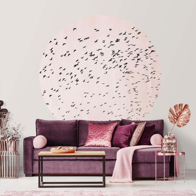 Wallpapers Flock Of Birds In The Sunset