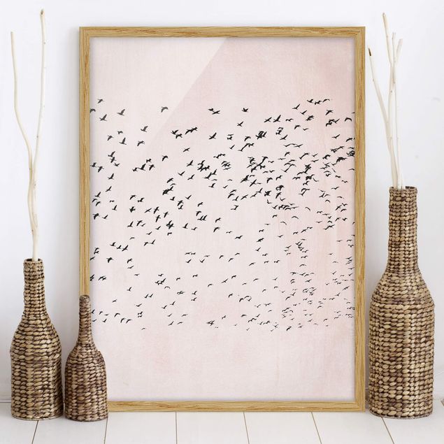 Framed poster - Flock Of Birds In The Sunset