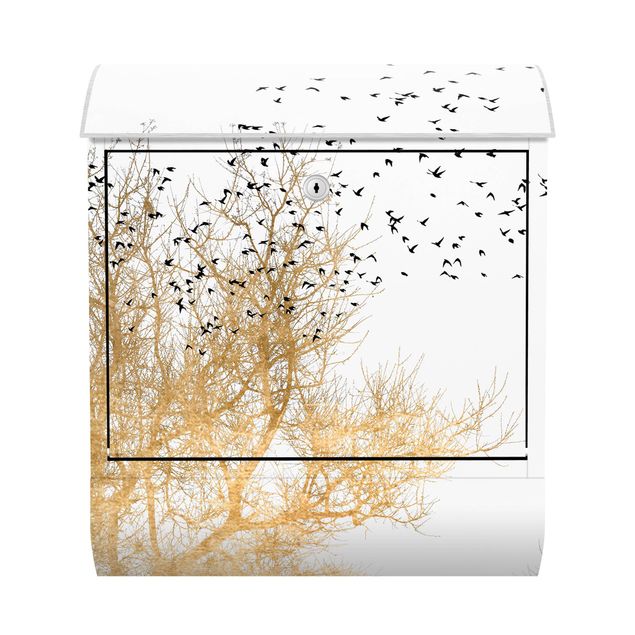 Letterbox - Flock Of Birds In Front Of Golden Tree