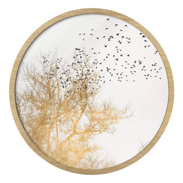 Circular framed print - Flock Of Birds In Front Of Golden Tree
